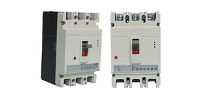 Electronic Moulded Case Circuit Breaker.jpg